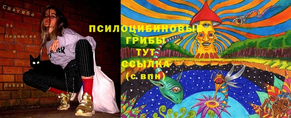 spice Богородицк