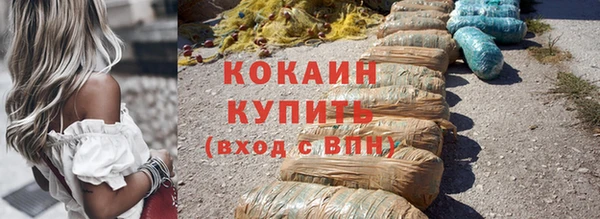 spice Богородицк