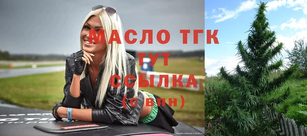 spice Богородицк