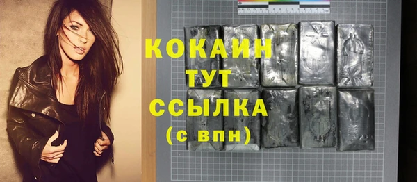индика Белоозёрский