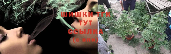 spice Богородицк