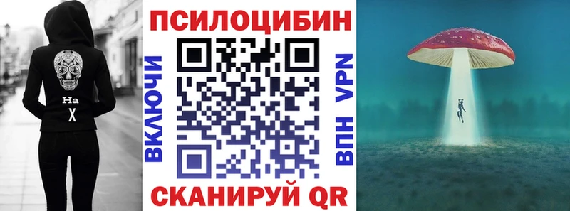 Галлюциногенные грибы мицелий  Зверево 